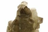 Smoky Quartz Crystal Cluster on Metal Stand - Brazil #274460-2